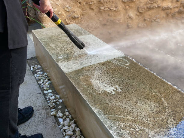 Best Local Pressure Washing Services  in Reisterstown, MD